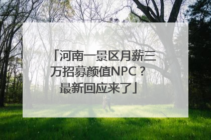 河南一景区月薪三万招募颜值NPC？最新回应来了