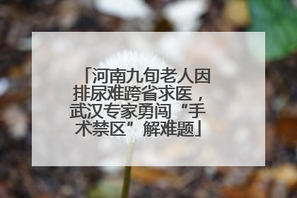 河南九旬老人因排尿难跨省求医，武汉专家勇闯“手术禁区”解难题