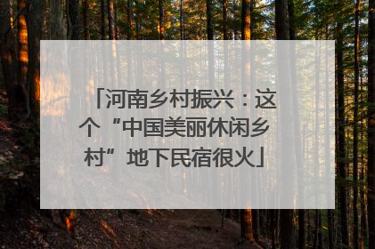河南乡村振兴：这个“中国美丽休闲乡村”地下民宿很火
