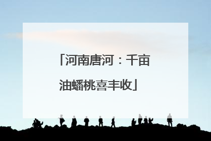 河南唐河：千亩油蟠桃喜丰收