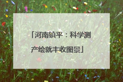 河南镇平：科学测产绘就丰收图景