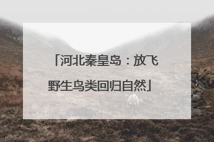 河北秦皇岛：放飞野生鸟类回归自然