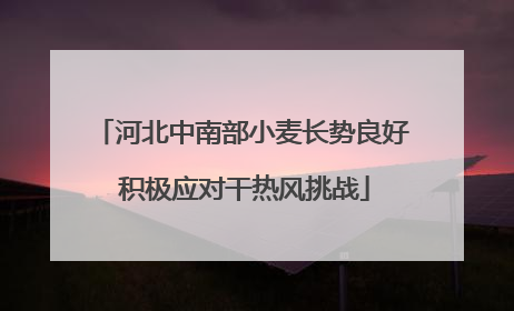河北中南部小麦长势良好 积极应对干热风挑战