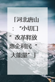 河北唐山：“小切口”改革释放惠企利民“大能量”