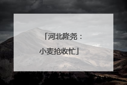 河北隆尧：小麦抢收忙