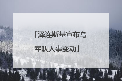 泽连斯基宣布乌军队人事变动