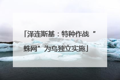 泽连斯基：特种作战“蛛网”为乌独立实施