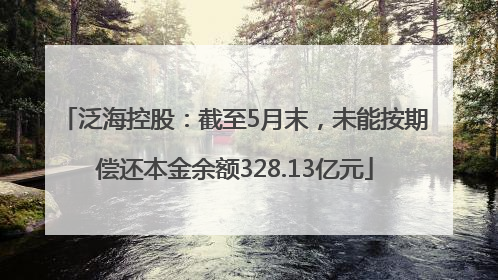 泛海控股：截至5月末，未能按期偿还本金余额328.13亿元