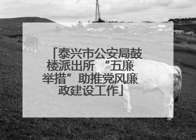 泰兴市公安局鼓楼派出所 “五廉举措”助推党风廉政建设工作