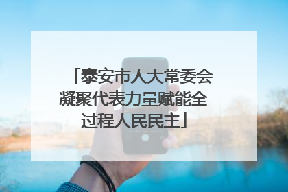 泰安市人大常委会凝聚代表力量赋能全过程人民民主