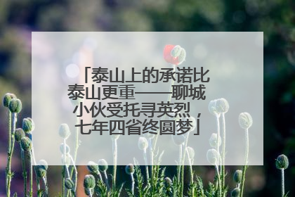泰山上的承诺比泰山更重——聊城小伙受托寻英烈，七年四省终圆梦
