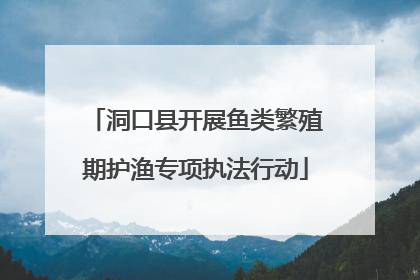 洞口县开展鱼类繁殖期护渔专项执法行动