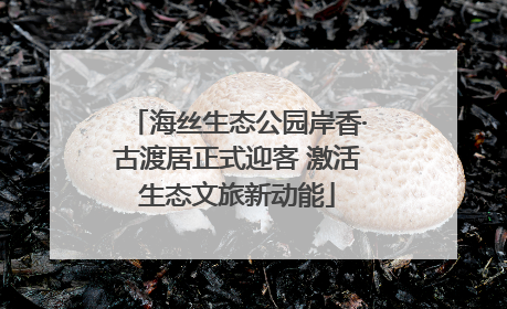 海丝生态公园岸香·古渡居正式迎客 激活生态文旅新动能