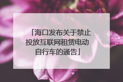 海口发布关于禁止投放互联网租赁电动自行车的通告