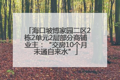 海口坡博家园二区2栋2单元2层部分商铺业主：“交房10个月未通自来水”