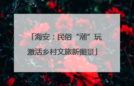 海安：民俗“潮”玩激活乡村文旅新图景