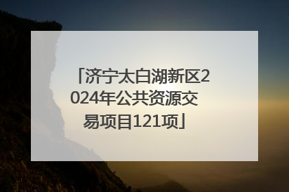 济宁太白湖新区2024年公共资源交易项目121项
