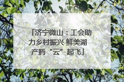 济宁微山：工会助力乡村振兴 鲜美湖产腾“云”起飞