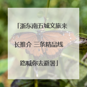 浙东南五城文旅来长推介 三条精品线路喊你去避暑