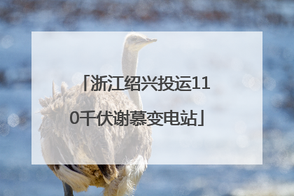 浙江绍兴投运110千伏谢慕变电站