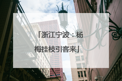浙江宁波：杨梅挂枝引客来