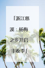 浙江慈溪：杨梅之乡开启丰收季
