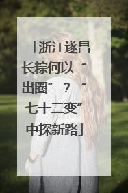 浙江遂昌长粽何以“出圈”？“七十二变”中探新路