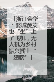 浙江金华:婺城蔬菜也“坐”上了飞机,无人机为乡村振兴插上“翅膀”