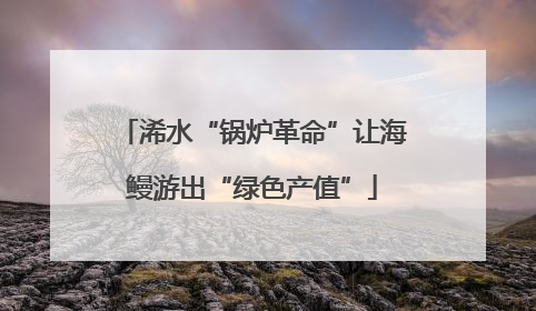 浠水“锅炉革命”让海鳗游出“绿色产值”