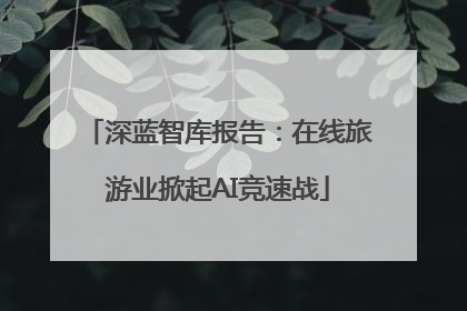 深蓝智库报告：在线旅游业掀起AI竞速战
