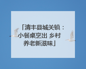清丰县城关镇：小餐桌烹出 乡村养老新滋味
