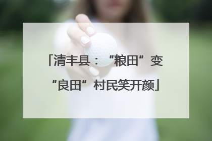 清丰县：“粮田”变“良田”村民笑开颜