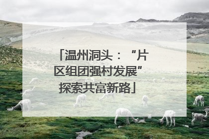 温州洞头：“片区组团强村发展”探索共富新路