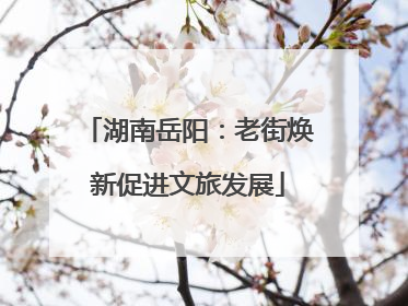 湖南岳阳：老街焕新促进文旅发展