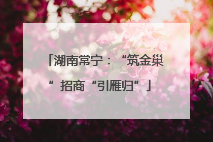 湖南常宁：“筑金巢”招商“引雁归”
