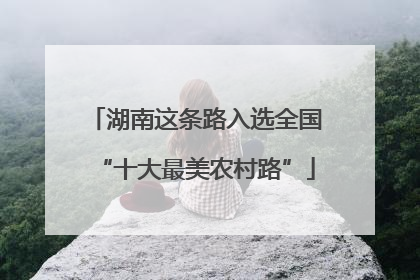 湖南这条路入选全国“十大最美农村路”