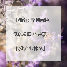 湖南：坚持绿色低碳发展 构建现代化产业体系