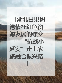 湖北白果树湾依托红色资源发展的蝶变——“抗战小延安”走上农旅融合振兴路