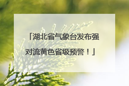 湖北省气象台发布强对流黄色省级预警！
