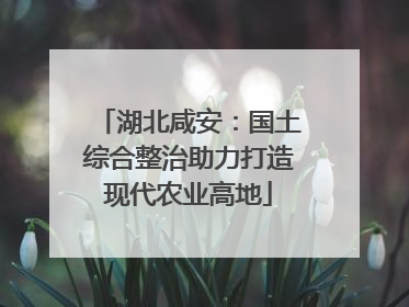 湖北咸安：国土综合整治助力打造现代农业高地
