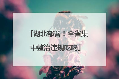 湖北部署！全省集中整治违规吃喝