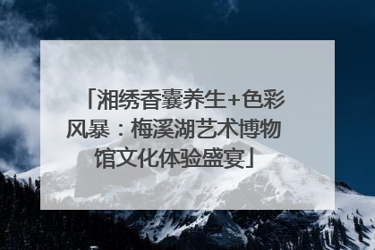 湘绣香囊养生+色彩风暴：梅溪湖艺术博物馆文化体验盛宴