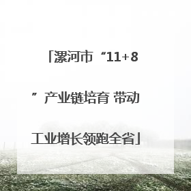 漯河市“11+8”产业链培育 带动工业增长领跑全省