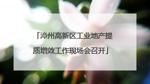 漳州高新区工业地产提质增效工作现场会召开