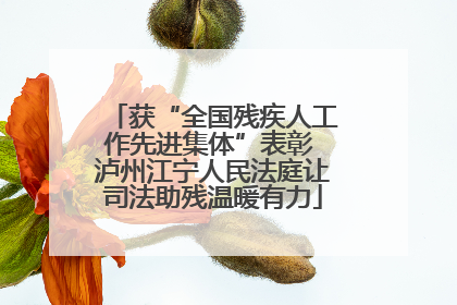 获“全国残疾人工作先进集体”表彰 泸州江宁人民法庭让司法助残温暖有力