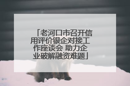 老河口市召开信用评价银企对接工作座谈会 助力企业破解融资难题