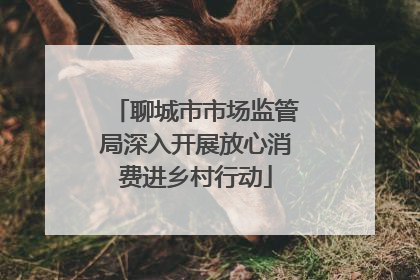 聊城市市场监管局深入开展放心消费进乡村行动
