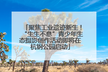 聚焦工业遗迹新生！“生生不息”青少年生态摄影创作活动即将在杭钢公园启动