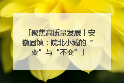 聚焦高质量发展丨安徽固镇：皖北小城的“变”与“不变”