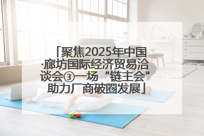 聚焦2025年中国·廊坊国际经济贸易洽谈会③一场“链主会” 助力厂商破圈发展